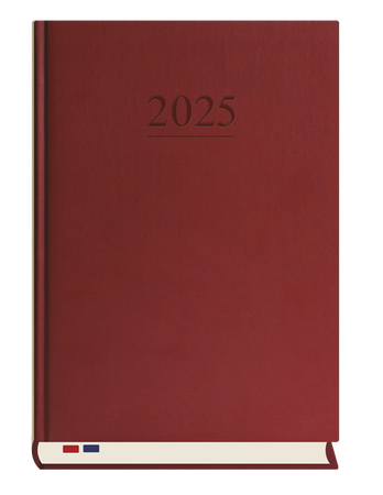 TERMINARZ STACJONARNY T229V-B