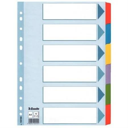 PRZEKŁ.ESS.A4 MYLAR 1-6