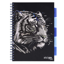 Kołozeszyt STRIGO PADS Project Book A4 kratka Tygrys