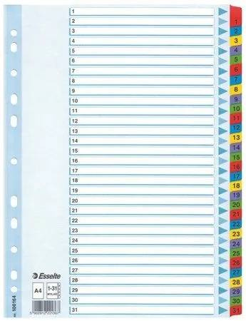PRZEKŁADKI ESSELTE A4 MYLAR 1-31