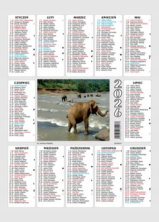 KALENDARZ PLAKIETKA MIX