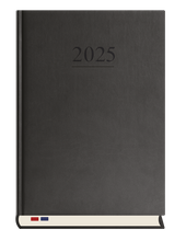 TERMINARZ STACJONARNY T229V-V