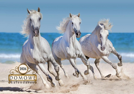 Term.Domowy 2026^- Konie