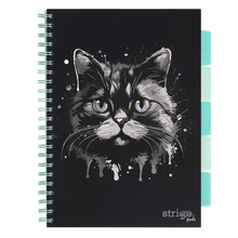 Kołozeszyt STRIGO PADS Project Book A4 kratka Kot