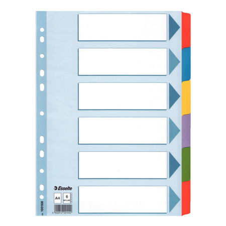 PRZEKŁ.ESS.A4 MYLAR 1-6