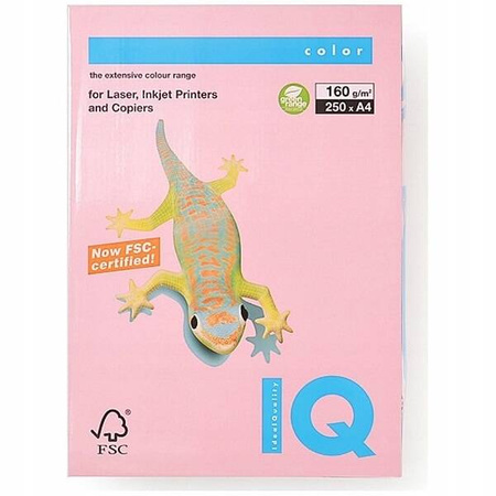 IQ PAP.KS.KOL.RÓŻOWY A4/160GR