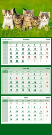 Kalendarz trójdzielny 2026^Koty