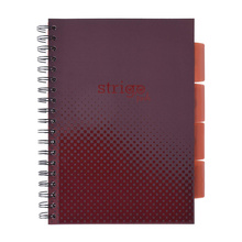 Kołozeszyt STRIGO PADS Project Book B5 kratka Basic bordowy