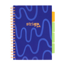 Kołozeszyt STRIGO PADS Project Book B5 kratka Neon granatowy