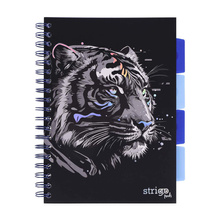 Kołozeszyt STRIGO PADS Project Book B5 linia Tygrys