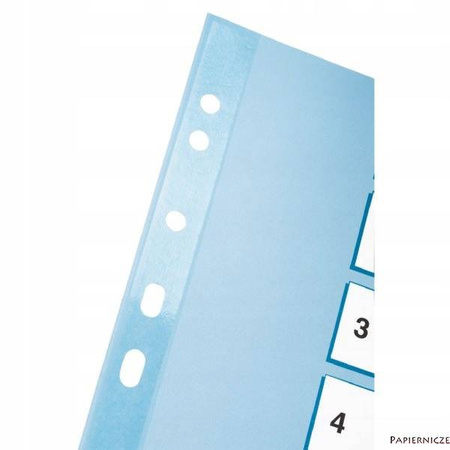 PRZEKŁADKA ESSELTE A4 MYLAR 1-10