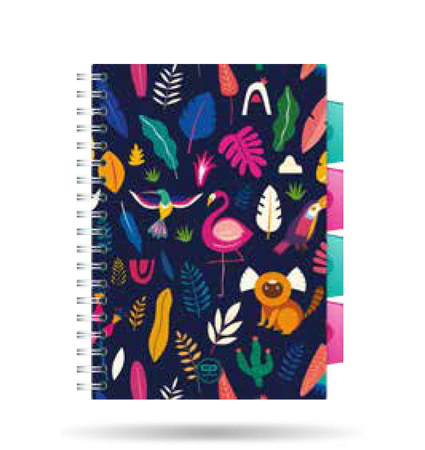 COOLPACK KOŁOZESZYT A5 PP LADY COLOR