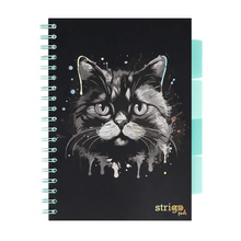 Kołozeszyt STRIGO PADS Project Book B5 linia Kot
