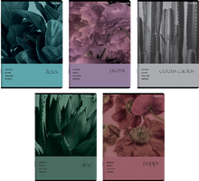 ZESZYT TOP BOTANY A5 96K KRATKA OXFORD