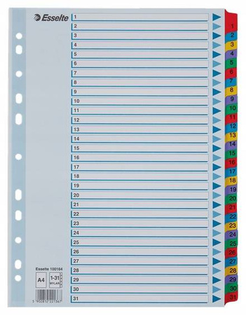 PRZEKŁADKI ESSELTE A4 MYLAR 1-31