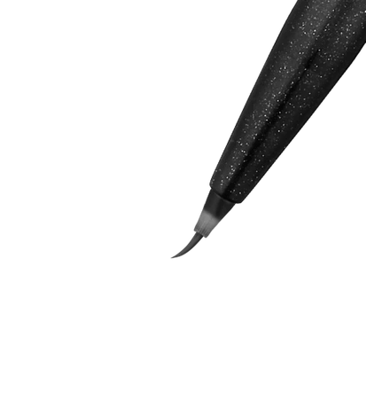 Zestaw Pentel do liternictwa