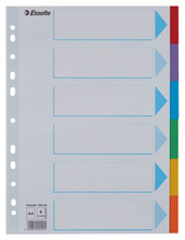 PRZEKŁADKA ESSELTE A4 KARTON 6CZ