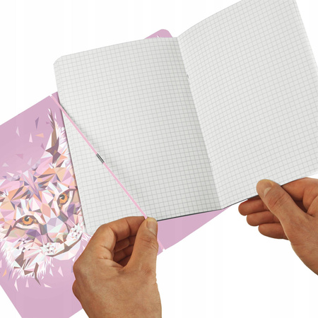 Notatnik PP Herlitz Lynx 40 stron w kratkę