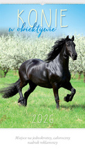 KALENDARZ 13PL.RW14 KONIE W OBIEKTYWIE