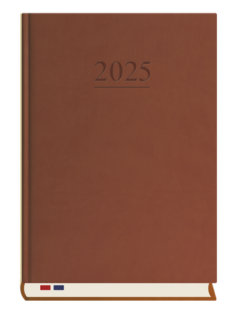 TERMINARZ STACJONARNY T229V-S2