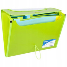 Strigo Teczka VFILE PP A4 12 przekładek zielona