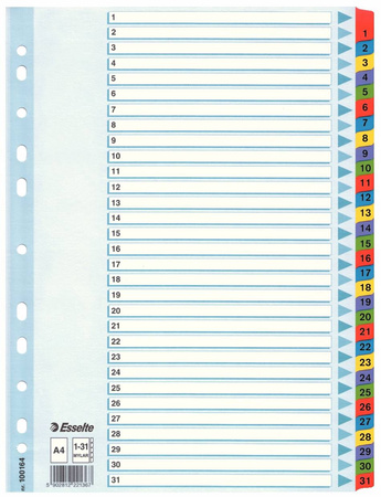 PRZEKŁADKI ESSELTE A4 MYLAR 1-31