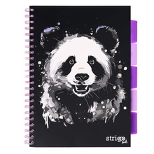 Kołozeszyt STRIGO PADS Project Book A4 linia Panda