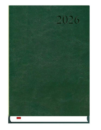 Asystent 2026 ALASKA^ - c.zieleń