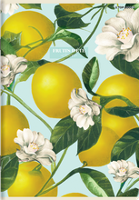 ZESZYT TOP SUMMER A5 60K KRATKA OXFORD 2024