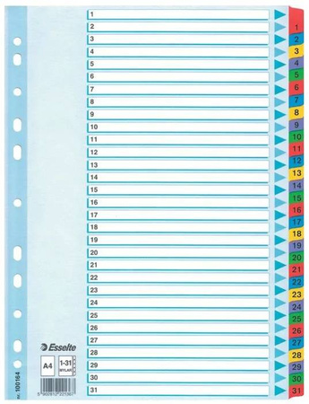 PRZEKŁADKI ESSELTE A4 MYLAR 1-31