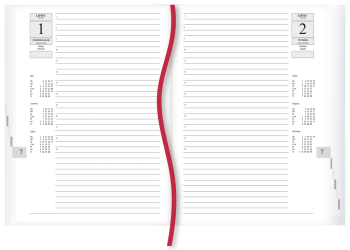 Asystent 2025^ - bordo