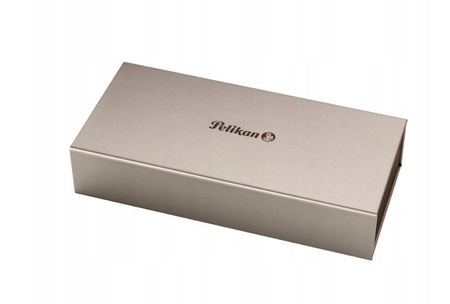 Pióro Wieczne Special Edition Souverän M670 Warm Grey B