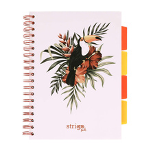 Kołozeszyt STRIGO PADS Project Book B5 kratka Tropiki Tukan