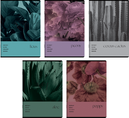 ZESZYT TOP BOTANY A5 96K KRATKA OXFORD