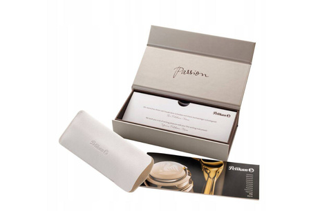 Pióro Wieczne Special Edition Souverän M670 Warm Grey B