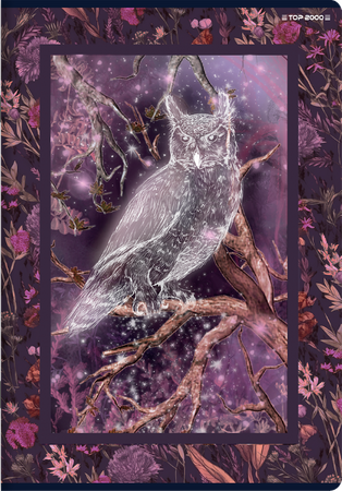 ZESZYT TOP FAIRYTALE A5 32K KRATKA OXFORD 2024