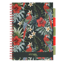 Kołozeszyt STRIGO PADS Project Book A4 kratka Tropiki Papuga
