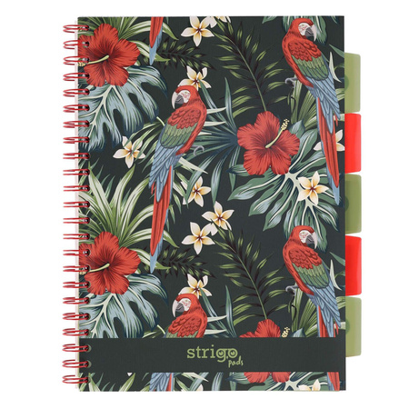 Kołozeszyt STRIGO PADS Project Book A4 kratka Tropiki Papuga