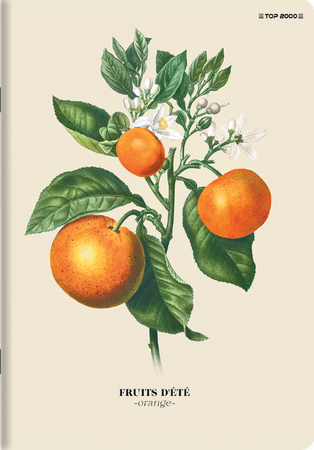 ZESZYT TOP SUMMER A5 60K LINIA OXFORD 2024