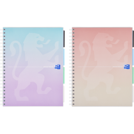 KOŁOZESZYT OXFORD PJBK 2SPI B5 80K KRATKA PAST