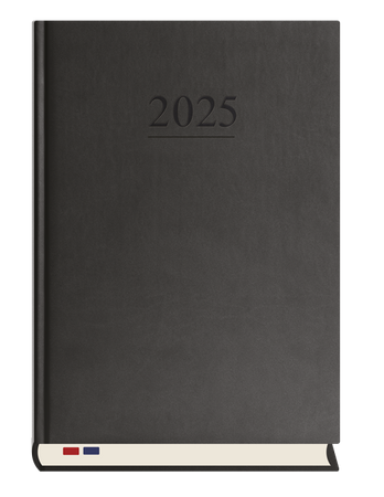 TERMINARZ STACJONARNY T229V-V