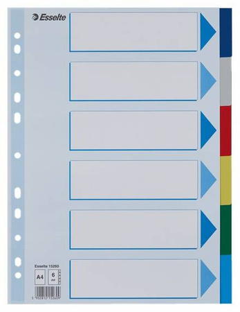 PRZEKŁADKA ESSELTE A4 KARTON KOLOR 5CZ