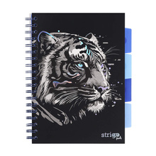 Kołozeszyt STRIGO PADS Project Book B5 kratka Tygrys