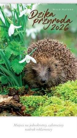 KALENDARZ 13PL.RW07 DZIKA PRZYRODA