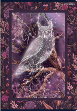 ZESZYT TOP FAIRYTALE A5 32K KRATKA OXFORD 2024