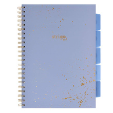 Kołozeszyt STRIGO PADS Project Book A4 kratka Marmur niebieski
