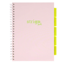 Kołozeszyt STRIGO PADS Project Book A4 kratka Pastel beżowy