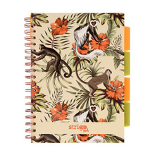 Kołozeszyt STRIGO PADS Project Book B5 kratka Tropiki Małpki