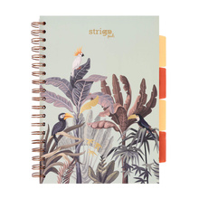 Kołozeszyt STRIGO PADS Project Book B5 kratka Afryka pastelowy zielony