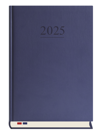 TERMINARZ STACJONARNY T229V-G